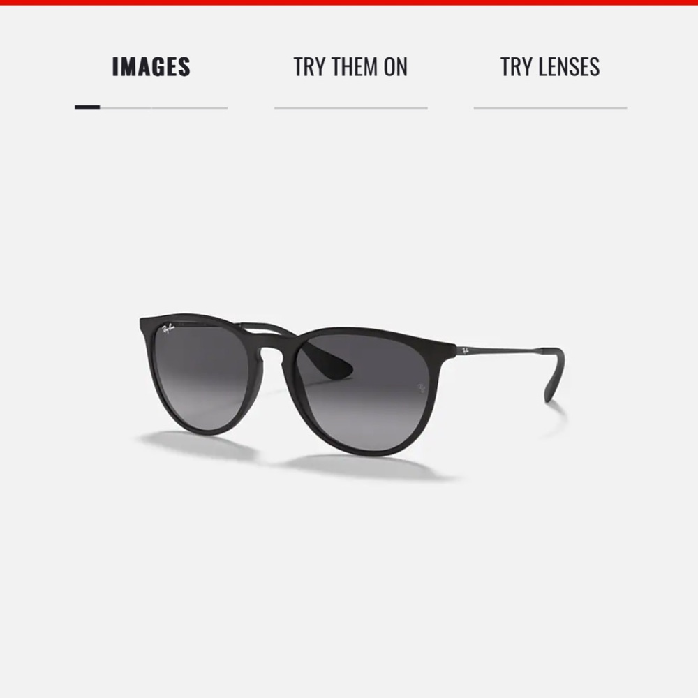 Ray-Ban Erika Sunglasses